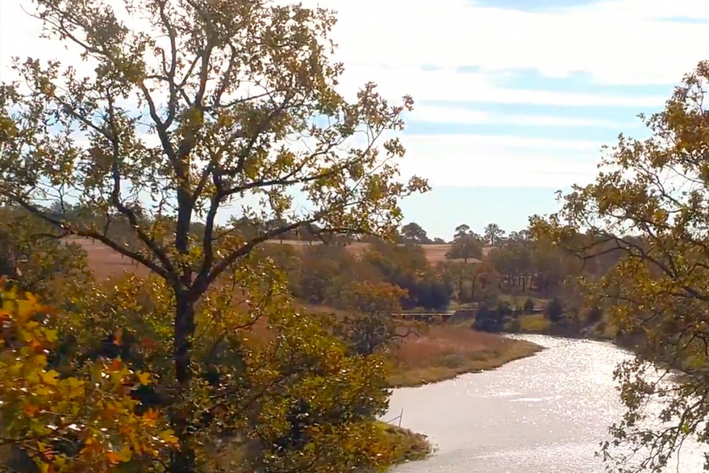 Beautiful river bend with trees.