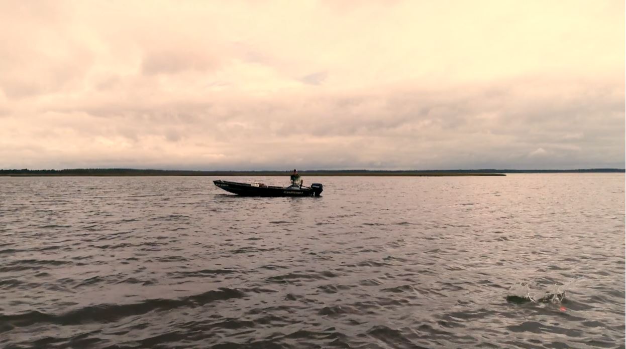 Nelson Outdoor Motors boat on a lake with overcast sky.