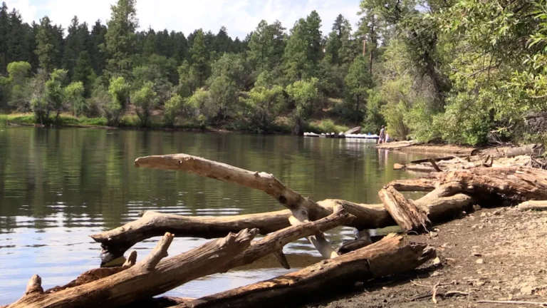 Lynx Lake Prescott